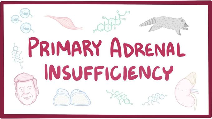 Primary adrenal insufficiency (Addison's disease) - pathology, symptoms, diagnosis, treatment