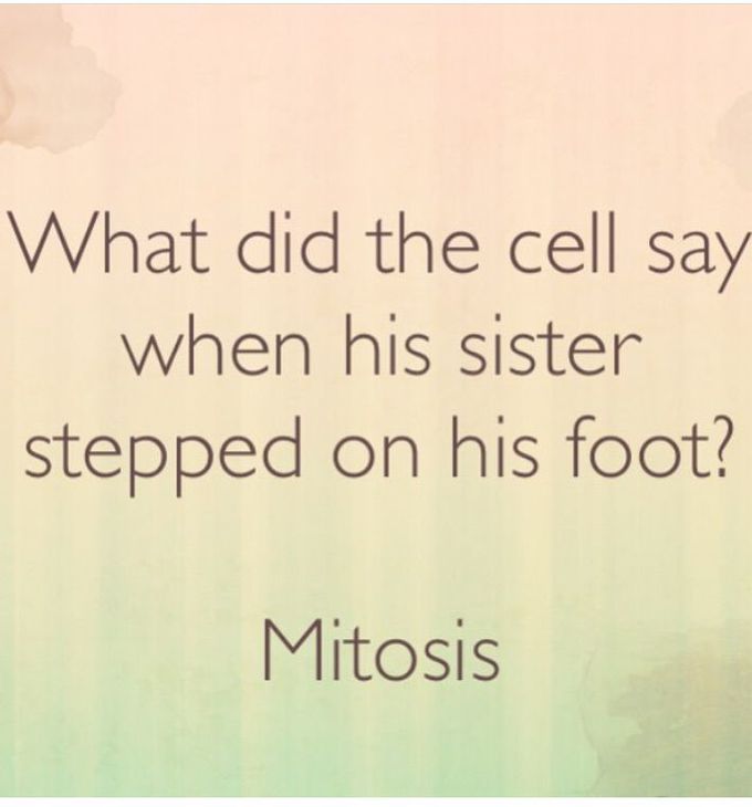 Jokes