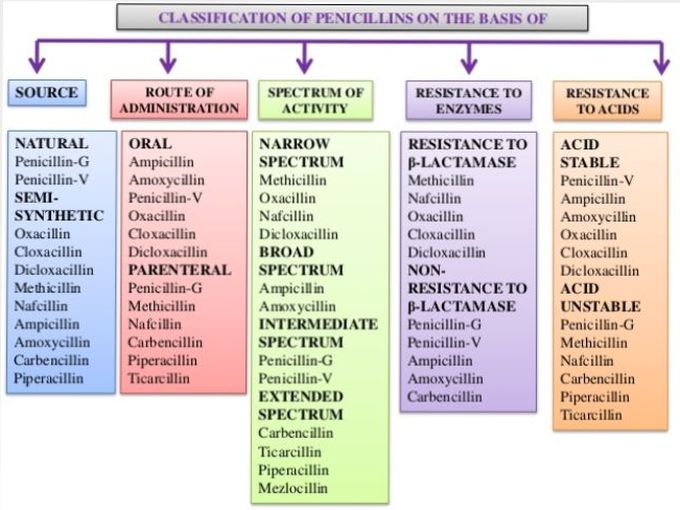 pharamacology