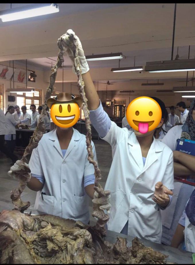 Small intestine seems articraft