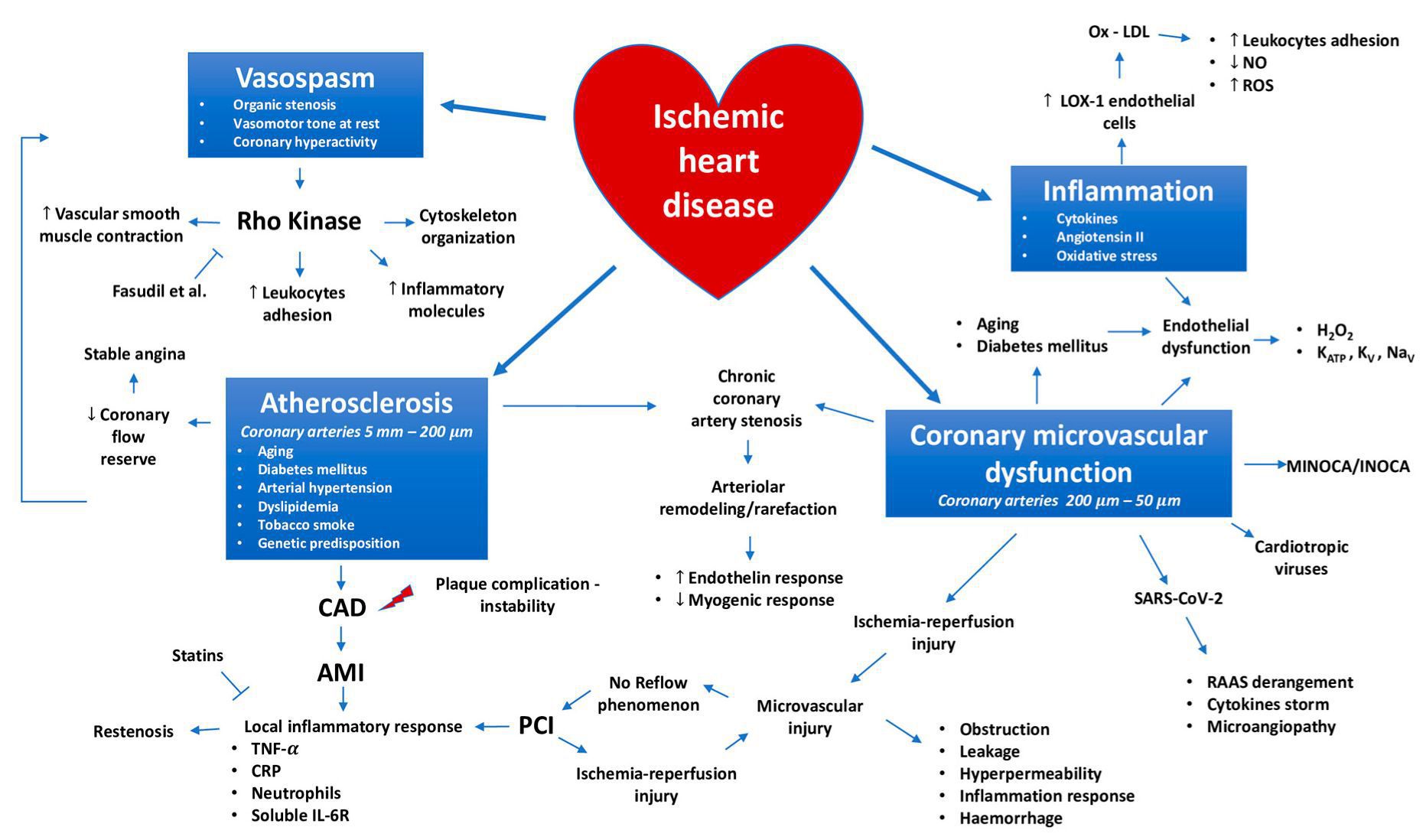 Ischemic heart disease - MEDizzy