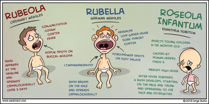 Rubella - MEDizzy