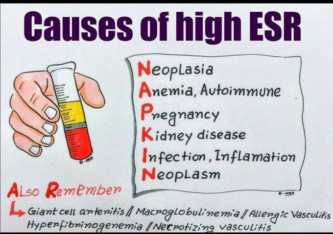 Causes Of High ESR MEDizzy