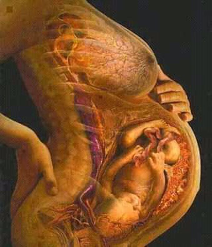 Pregnant women