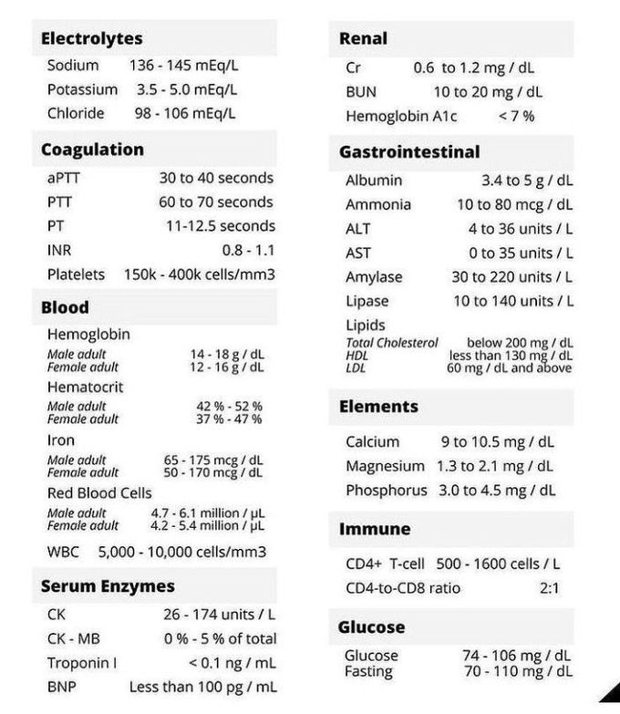 Study guide of normal lab values
