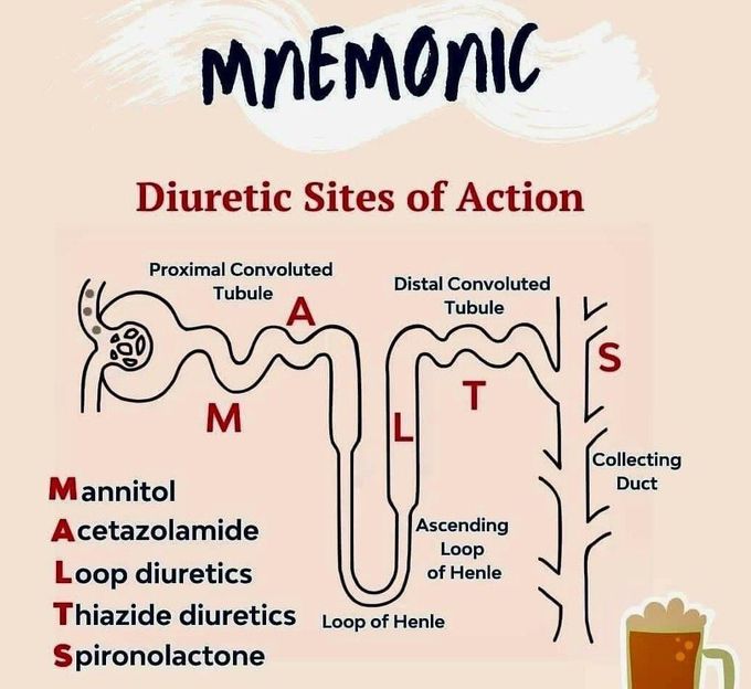 Diuretics - Mnemonic