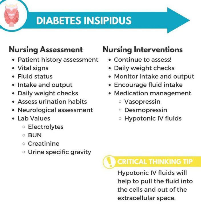 Diabetes InsipidusNursing Interventions MEDizzy