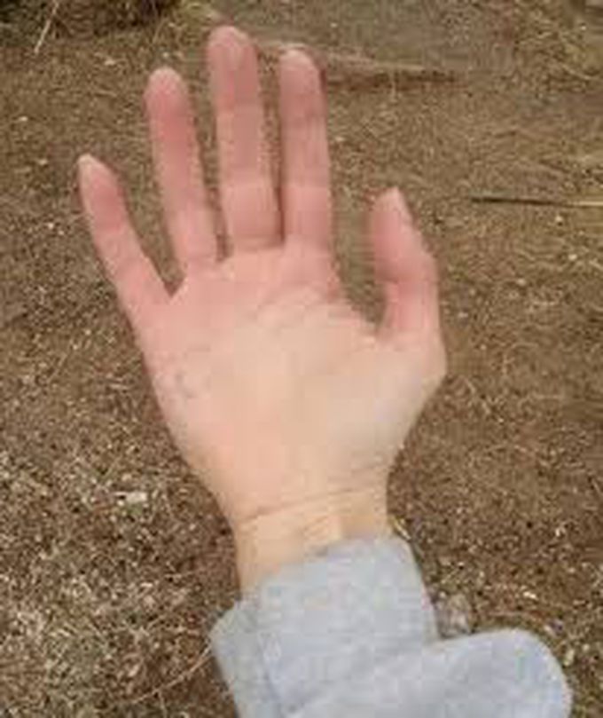 Ape hand