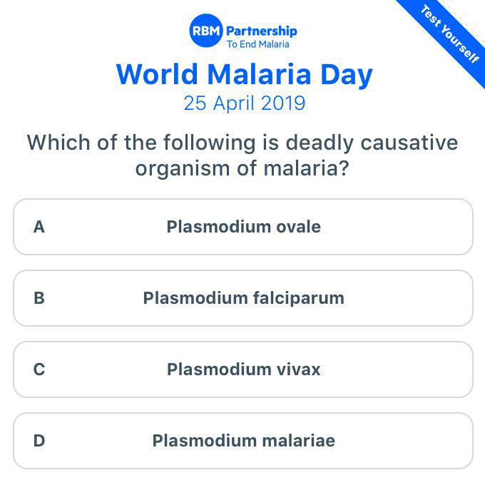 World Malaria Day