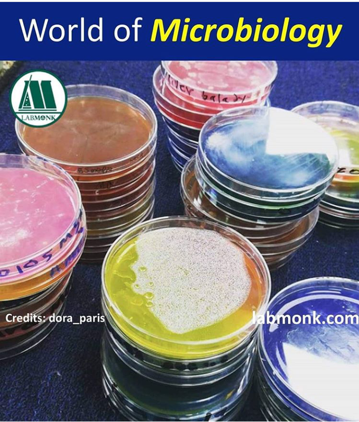 Microbiology world - MEDizzy