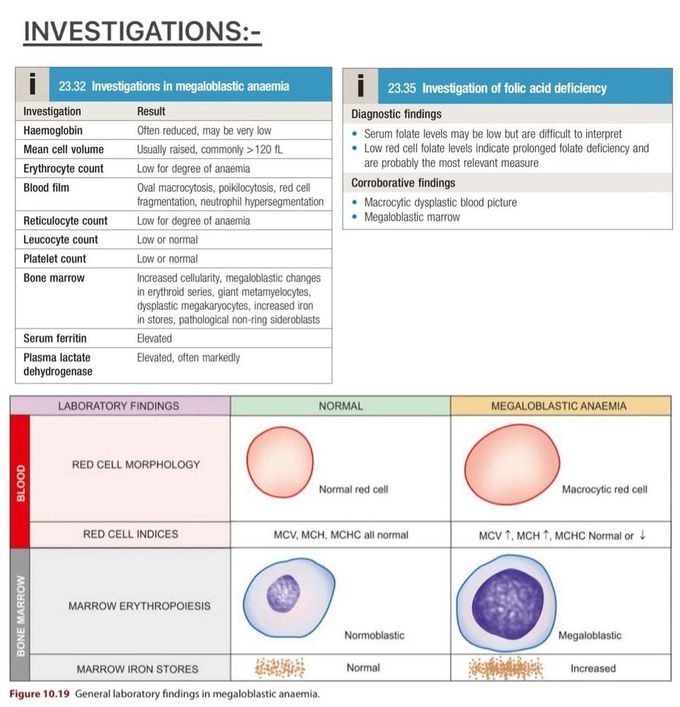 Megaloblastic Anemia IV