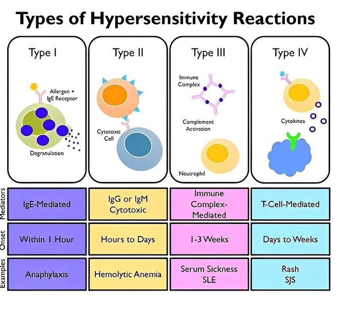 Hypersensitivity Types
