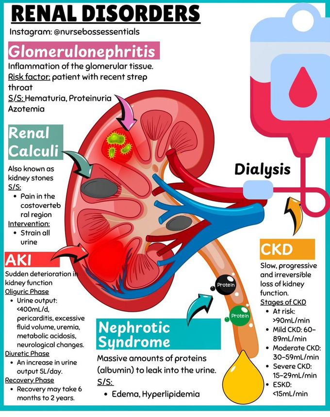 Renal Disorders