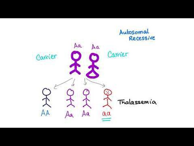 Introduction to the pathology of Thalassemia
