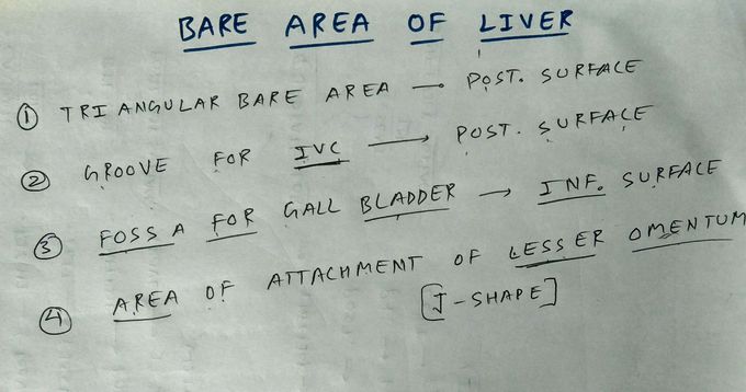 Bare area of liver