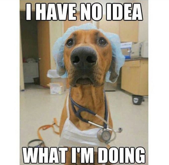 Medical life