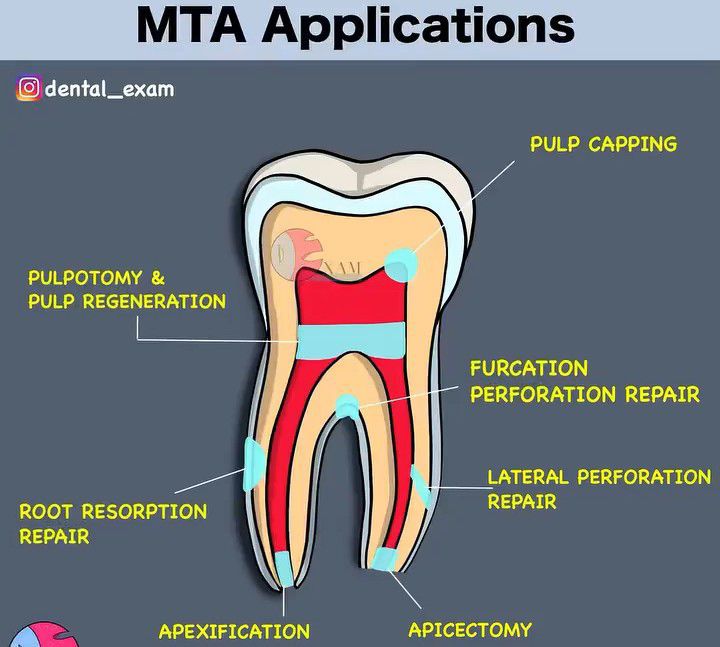 MTA Application MEDizzy