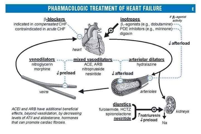 Pharmacology made easy!