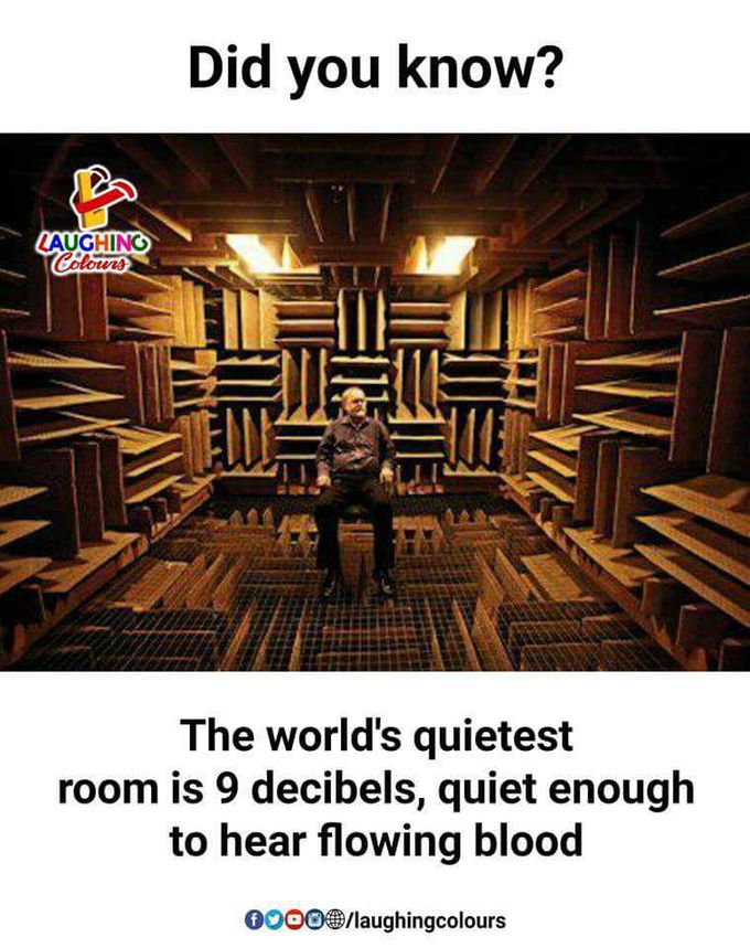 Isnt this amazing
