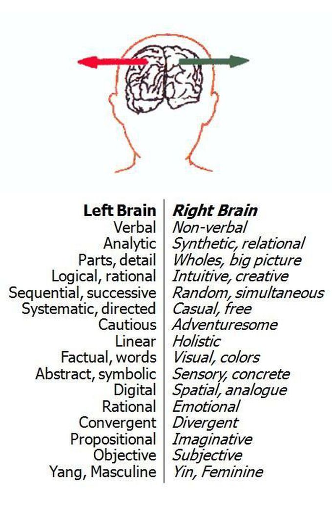 Brain
