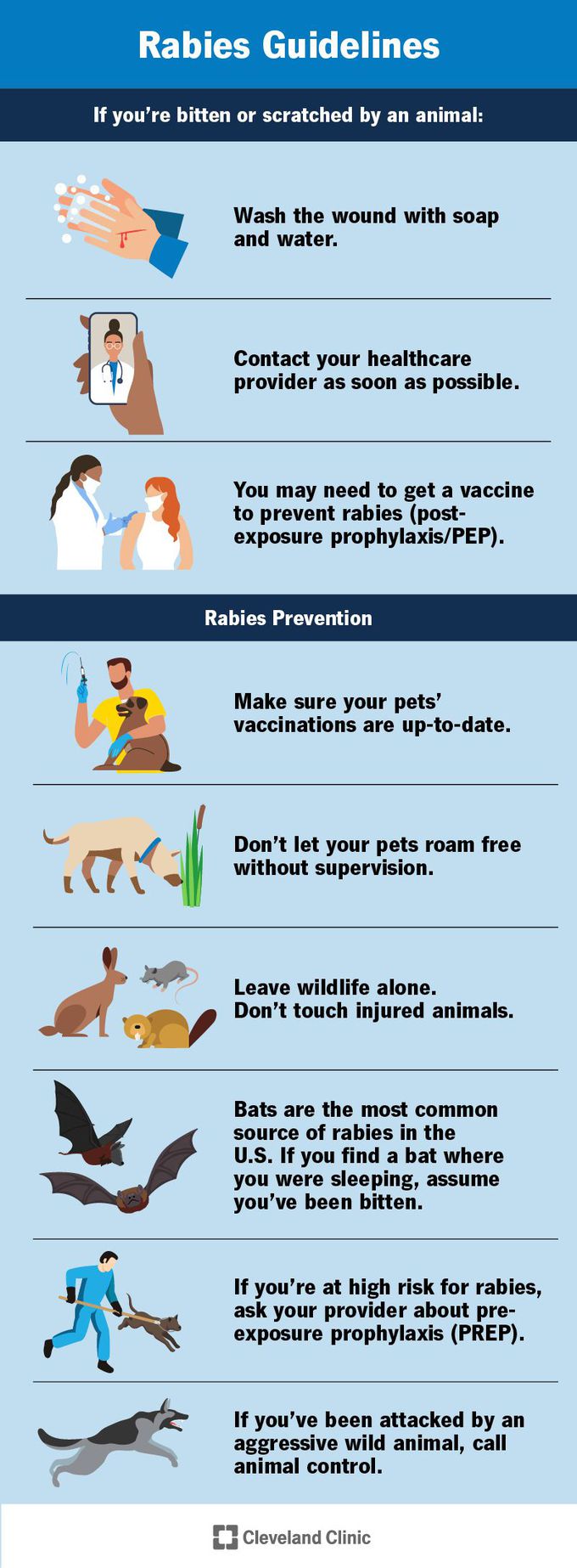 Rabies