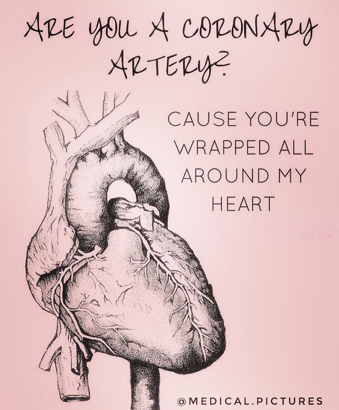 Heart ❤