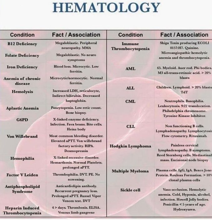 Hematology