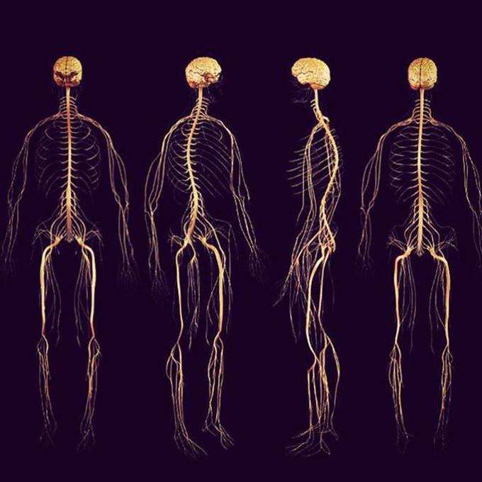 Human body in a whole different shape