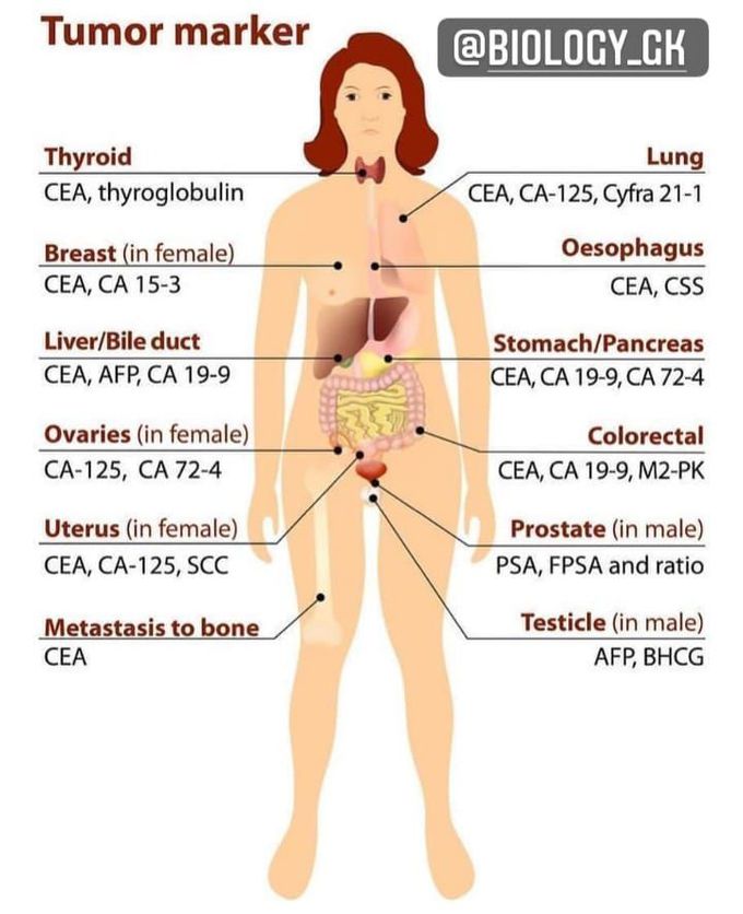 Important Tumor markers
