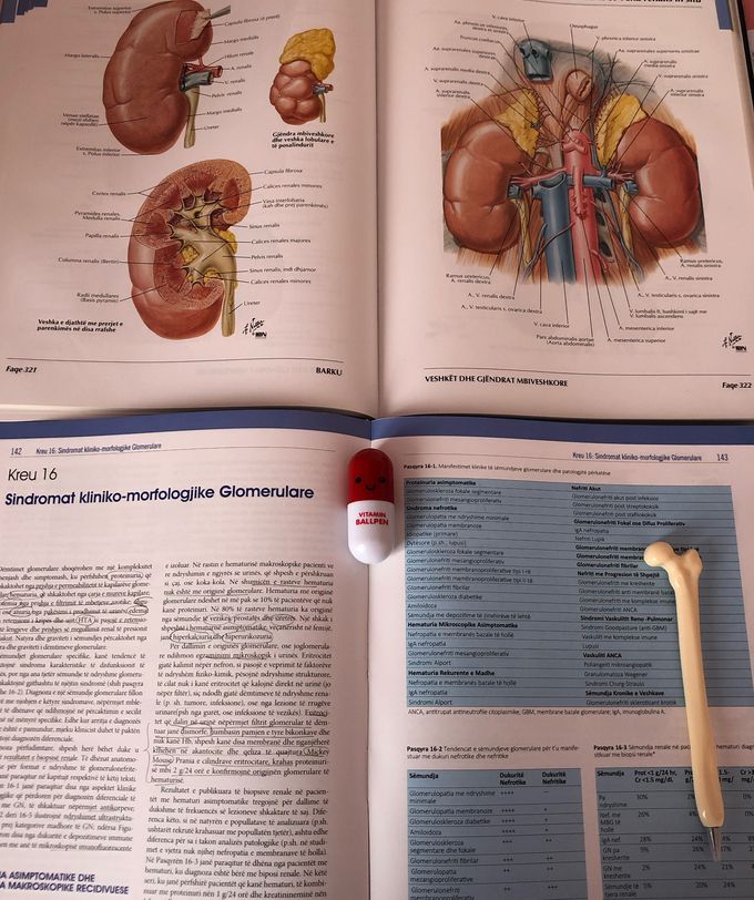 Studying nephrology