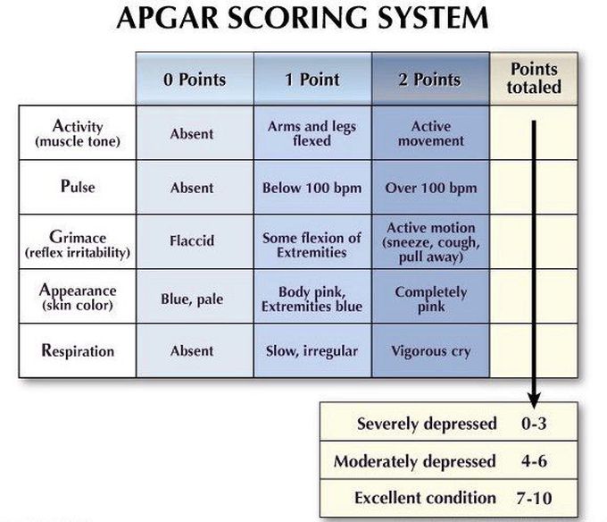 apgar-score-medizzy
