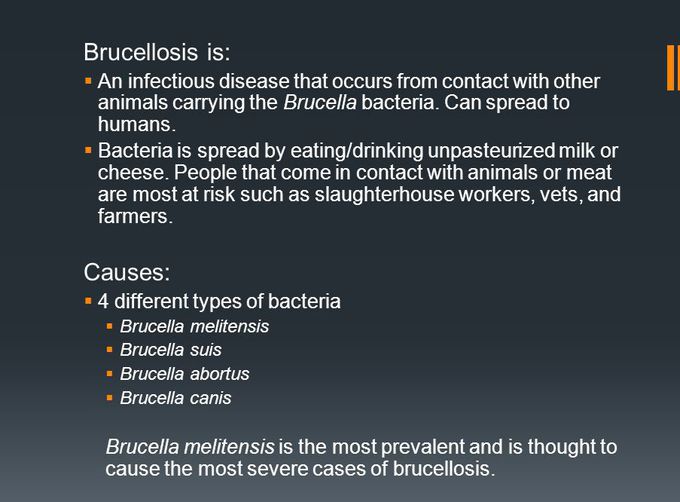Cause of Brucellosis