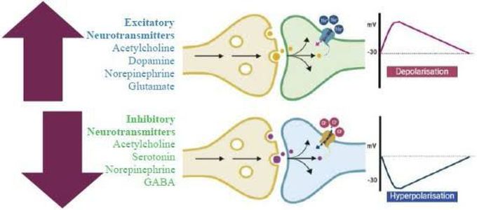 Neurotransmitters