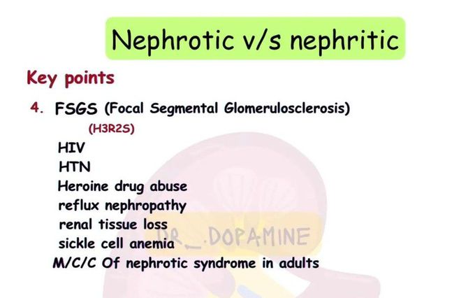 Nephrotic Vs Nephritic Syndrome III