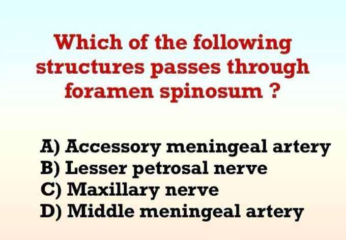 Foramen Spinosum