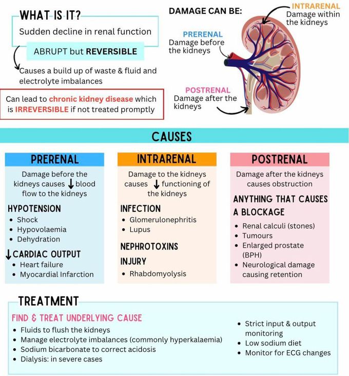 Acute Kidney Injury