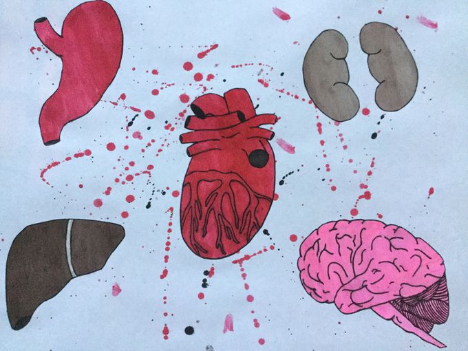 Organ Art
