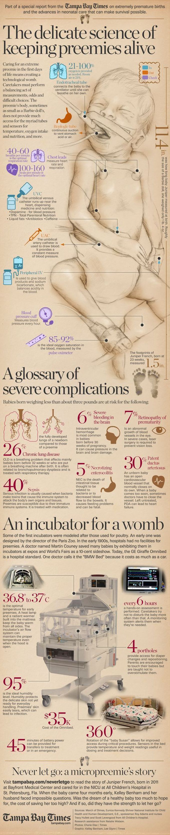 Science of alive
