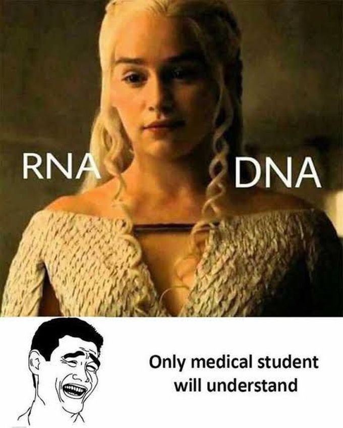 RNA... DNA