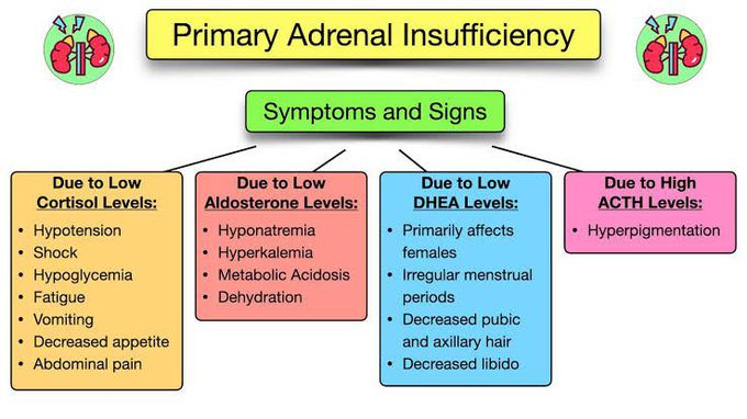 Primary Adernal insufficiency: Symptoms and Signs