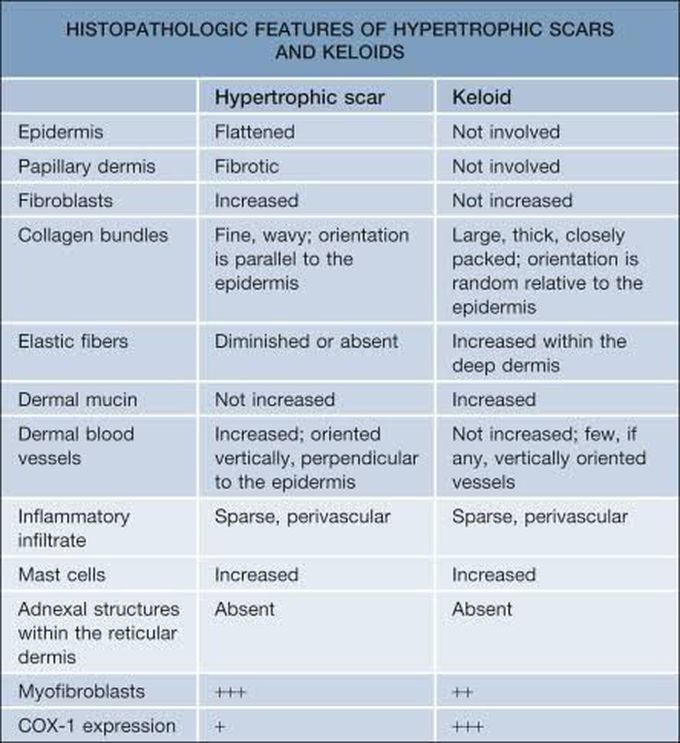 Hypertrophic and Keloid Scar