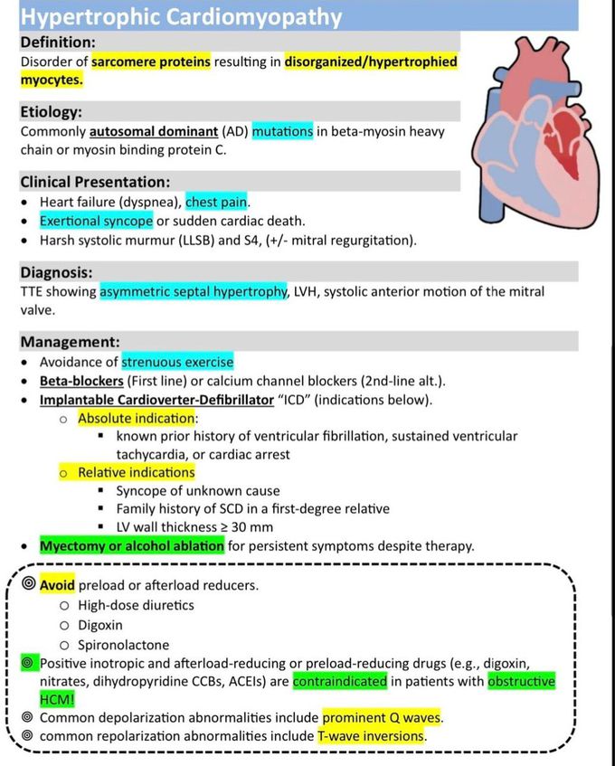 Hypertrophic Cardiomyopathy I