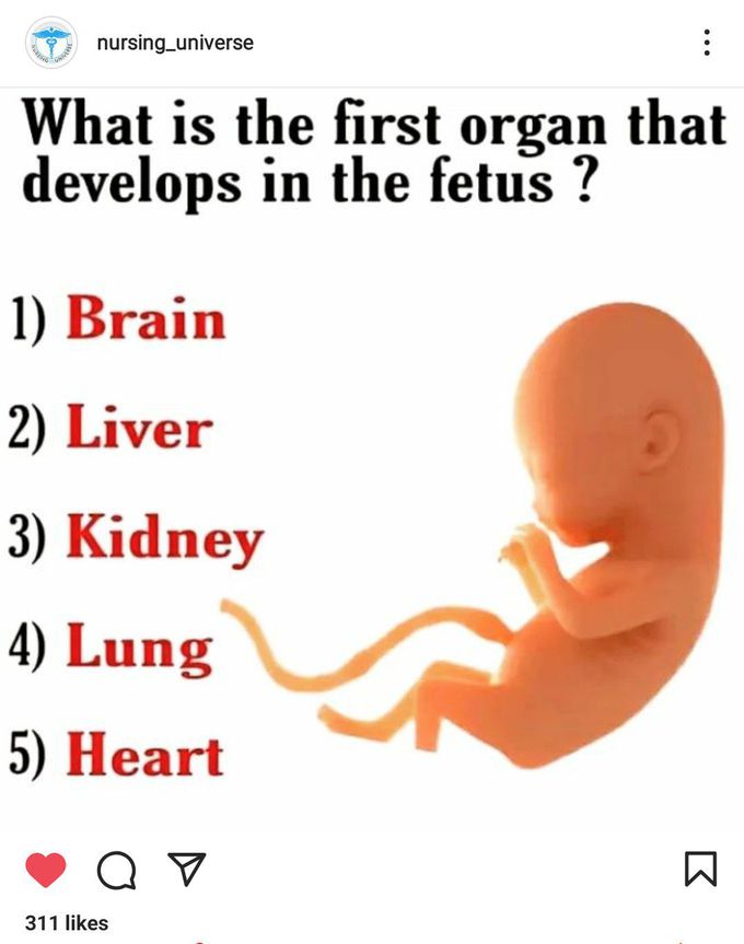 Which organ develops the first???