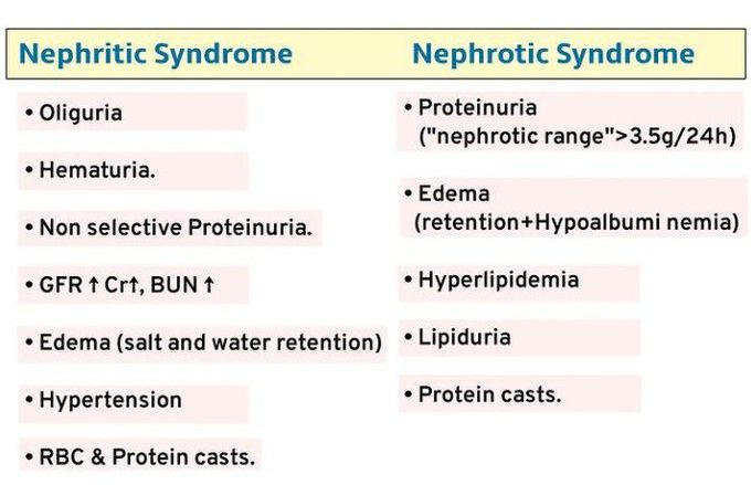 Nephrotic vs Nephritic Syndrome