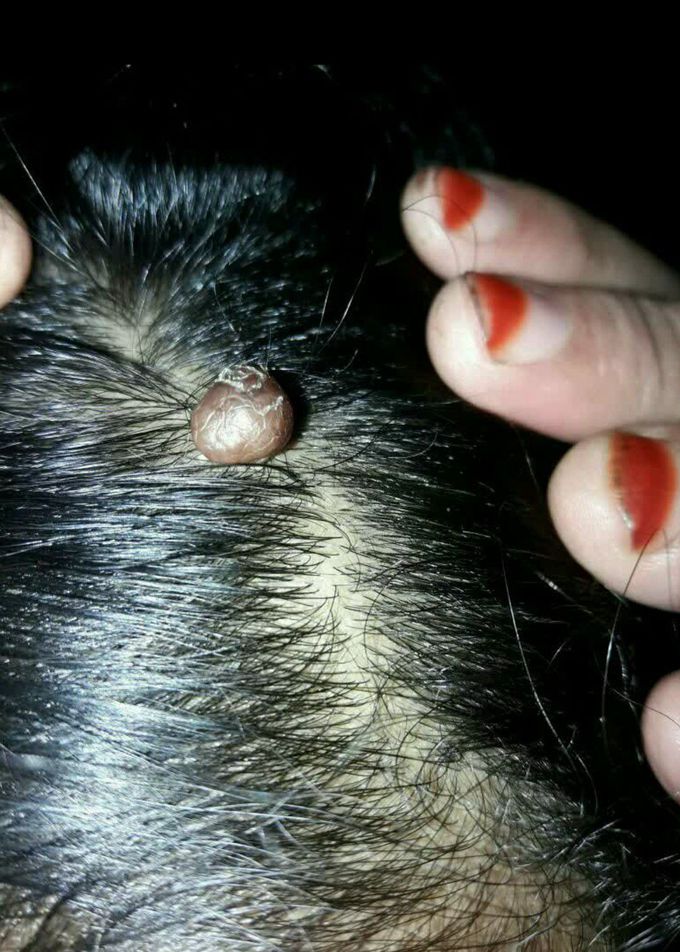 What is it??