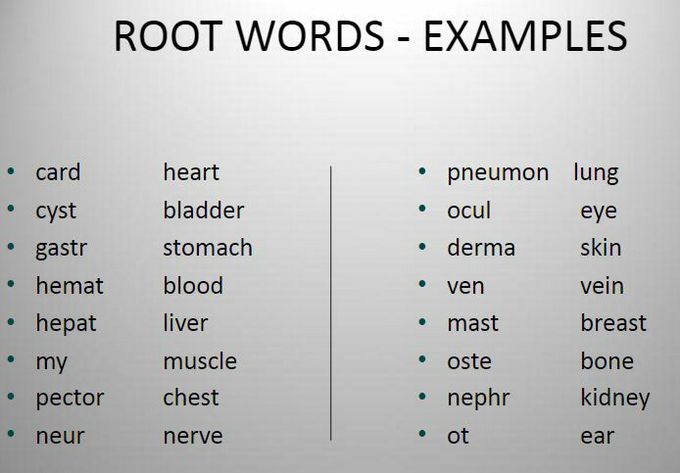 Human body-root words example