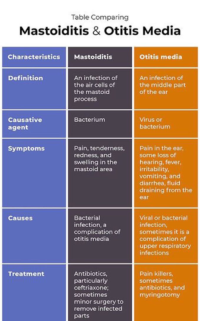 Difference between mastoiditis and otitis media