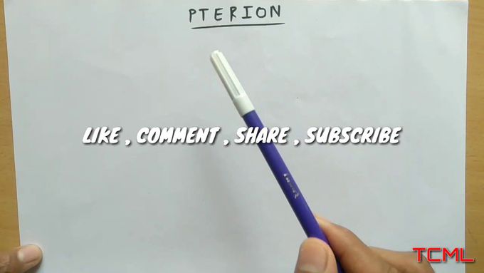 Pterion and its clinical