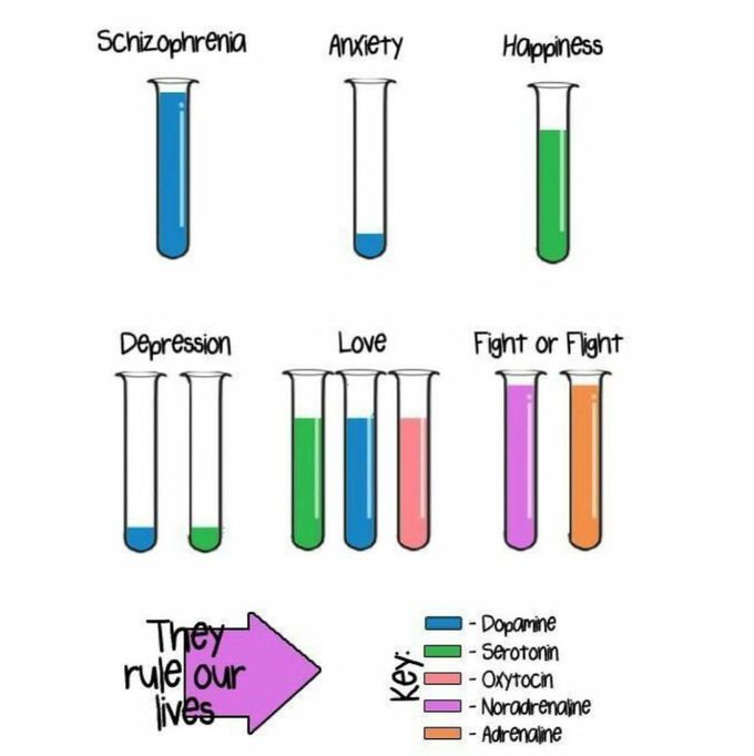 Hormones