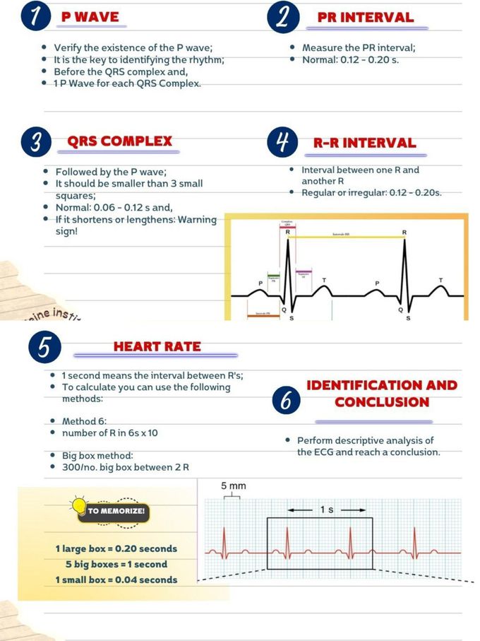 ECG Interpretation